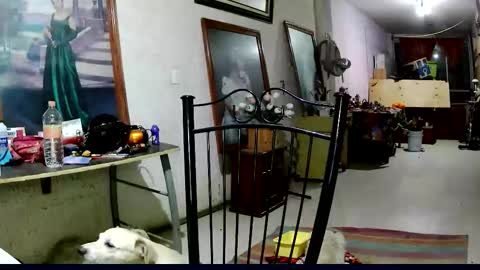 Snapshot of sailor_ruby7 chatting on 11-18-25, 12:16 ruby chocoholic cakeholic coffeeholic cookieholic online show from 11-18-25, 12:16