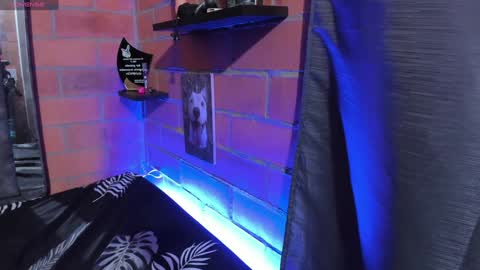 Snapshot of sainix_ chatting on 12-18-24, 02:21 sainix_ online show from 12-18-24, 02:21