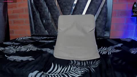 Snapshot of sainix_ chatting on 12-28-24, 03:47 sainix_ online show from 12-28-24, 03:47