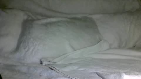 SD17 online show from 12-31-24, 03:12