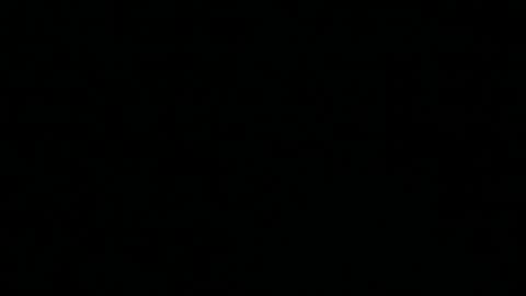 salichris online show from 07-28-26, 11:37