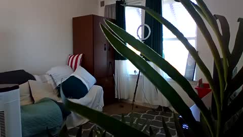 Snapshot of salis1981 chatting on 03-03-25, 05:39 salis1981 online show from 03-03-25, 05:39