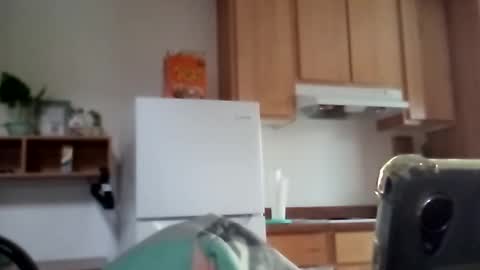 Snapshot of salis1981 chatting on 12-17-25, 11:55 salis1981 online show from 12-17-25, 11:55