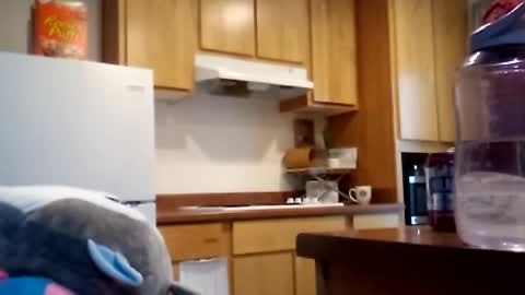 Snapshot of salis1981 chatting on 12-18-25, 06:58 salis1981 online show from 12-18-25, 06:58