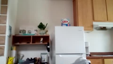 Snapshot of salis1981 chatting on 02-09-26, 08:46 salis1981 online show from 02-09-26, 08:46