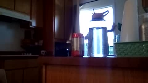 Snapshot of salis1981 chatting on 02-12-26, 07:09 salis1981 online show from 02-12-26, 07:09