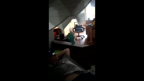 salis1981 online show from 03-21-26, 11:30