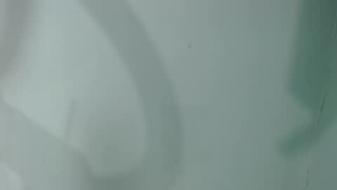 Snapshot of salome_aguilar chatting on 09-28-25, 12:10 Isabel online show from 09-28-25, 12:10