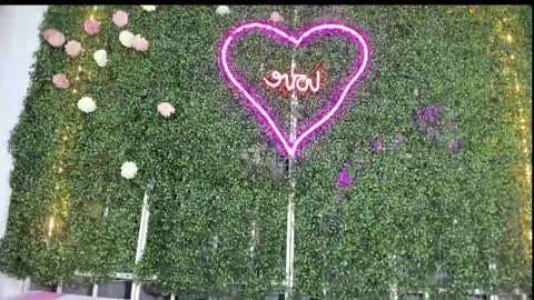 Snapshot of salome_domi chatting on 01-25-25, 10:50 salome online show from 01-25-25, 10:50