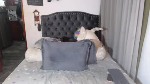 Snapshot of salomefox2 chatting on 05-25-26, 05:13 yenny online show from 05-25-26, 05:13