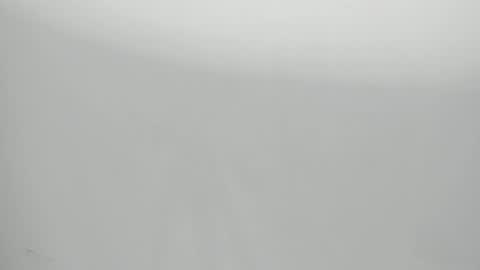 Snapshot of salvatore_damore chatting on 01-29-25, 11:09 SALVATORE online show from 01-29-25, 11:09