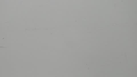 Snapshot of salvatore_damore chatting on 02-05-25, 11:23 SALVATORE online show from 02-05-25, 11:23