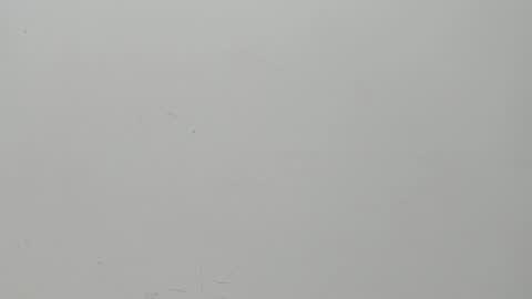 Snapshot of salvatore_damore chatting on 02-06-25, 11:10 SALVATORE online show from 02-06-25, 11:10