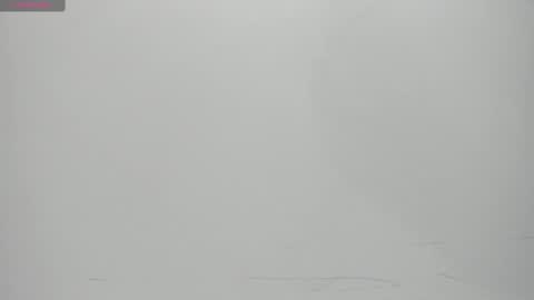 Snapshot of salvatore_damore chatting on 02-14-25, 11:10 SALVATORE online show from 02-14-25, 11:10