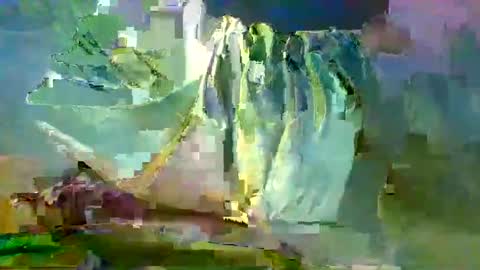 Snapshot of sam223382879 chatting on 12-27-24, 10:59 sam223382879 online show from 12-27-24, 10:59