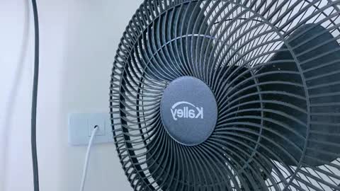   online show from 11-20-25, 11:21