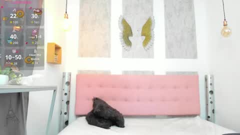    online show from 04-21-26, 11:16