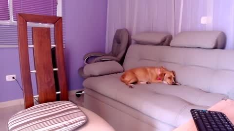 sam online show from 12-02-24, 04:31