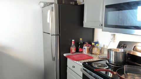 Yaya online show from 01-24-25, 04:59