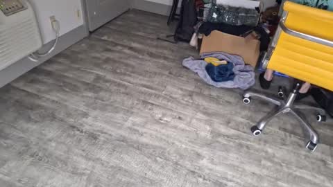 Snapshot of samboiamtho chatting on 01-03-25, 12:43 samboiamtho online show from 01-03-25, 12:43