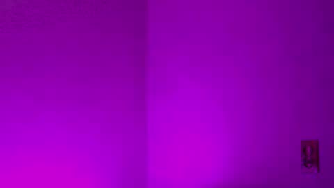 Sam Demia online show from 12-27-24, 02:58