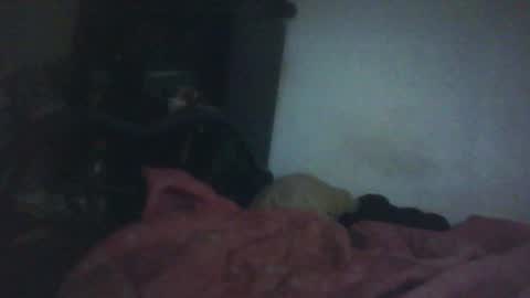 Samedisamedi1nouveau online show from 10-18-25, 11:33