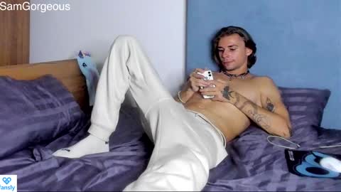 Snapshot of samgorgeous chatting on 12-06-24, 07:34 Fansly - Top4fans online show from 12-06-24, 07:34