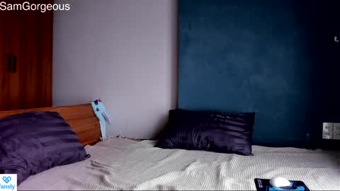 Snapshot of samgorgeous chatting on 12-09-24, 09:06 Fansly - Top4fans online show from 12-09-24, 09:06