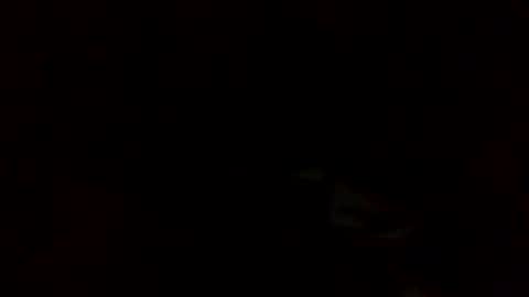 Snapshot of samjesss chatting on 03-10-25, 02:28 samjesss online show from 03-10-25, 02:28