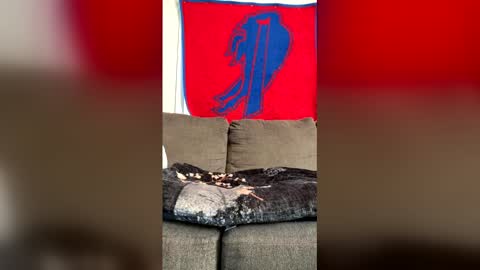Playful Sammie online show from 06-01-26, 10:00