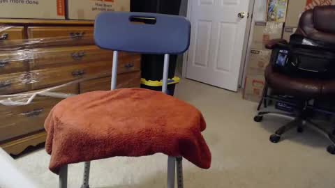 Sammy online show from 11-03-25, 02:29