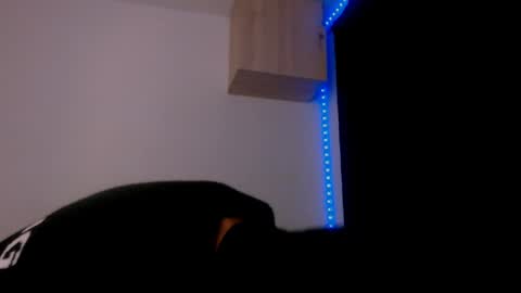 Snapshot of samuel_suarez chatting on 12-29-24, 03:00 online show from 12-29-24, 03:00