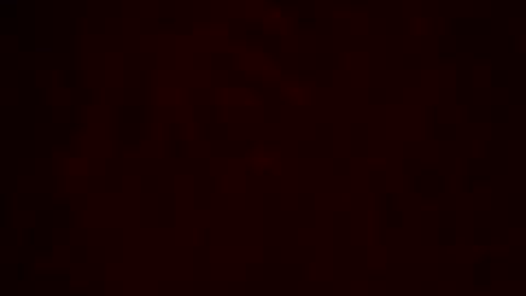 samueltal online show from 02-10-26, 12:26