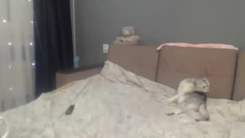 sandra_smith3007 online show from 02-06-26, 07:06