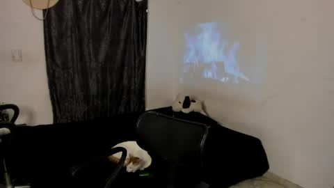 Snapshot of santiceballo chatting on 05-19-26, 10:43 Julius Novachrono online show from 05-19-26, 10:43