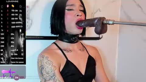    online show from 07-22-26, 11:07