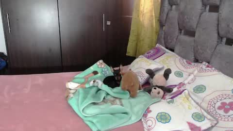 Snapshot of sarahott_1 chatting on 06-04-26, 07:09 Lia online show from 06-04-26, 07:09