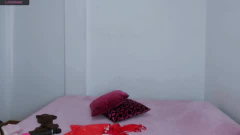 Snapshot of sarasweet_4 chatting on 03-05-25, 05:29 Sara online show from 03-05-25, 05:29