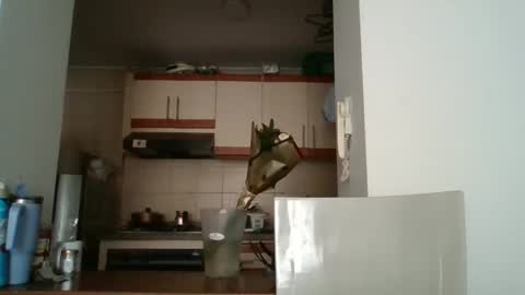sarita_start online show from 05-11-26, 03:40