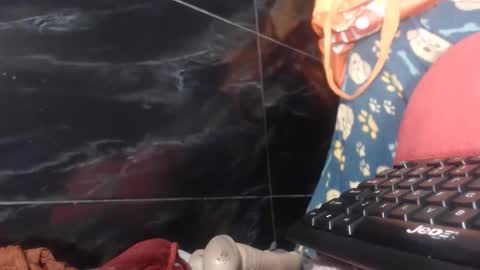 sasha online show from 02-02-26, 08:24