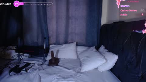 Snapshot of sashaharding1125 chatting on 01-08-26, 07:16 andrea harding online show from 01-08-26, 07:16