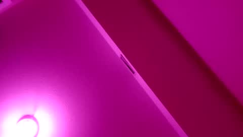 Snapshot of sashalustt69 chatting on 02-15-26, 08:35 sashalustt69 online show from 02-15-26, 08:35