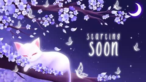 Snapshot of sassykittyn chatting on 11-03-25, 06:03 Sassy Sami Kittyn online show from 11-03-25, 06:03