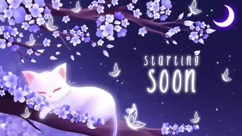 Snapshot of sassykittyn chatting on 11-04-25, 06:23 Sassy Sami Kittyn online show from 11-04-25, 06:23