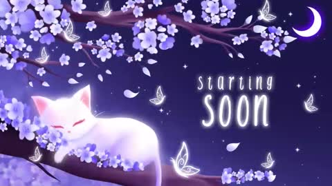 Snapshot of sassykittyn chatting on 12-02-25, 06:08 Sassy Sami Kittyn online show from 12-02-25, 06:08