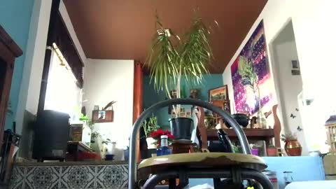 satur850 online show from 12-05-24, 09:17