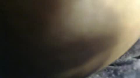 Snapshot of sauce_pety chatting on 02-03-26, 07:41 pety online show from 02-03-26, 07:41