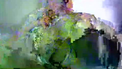 Snapshot of savagetongu3e chatting on 03-29-26, 03:28 savagetonguee online show from 03-29-26, 03:28