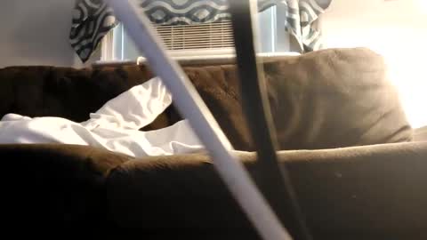 Snapshot of sayhi2mylilguy chatting on 02-27-25, 07:15 sayhi2mylilguy online show from 02-27-25, 07:15