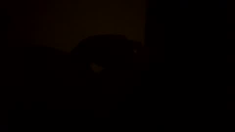 Snapshot of sc377003 chatting on 03-11-25, 02:54 sc377003 online show from 03-11-25, 02:54